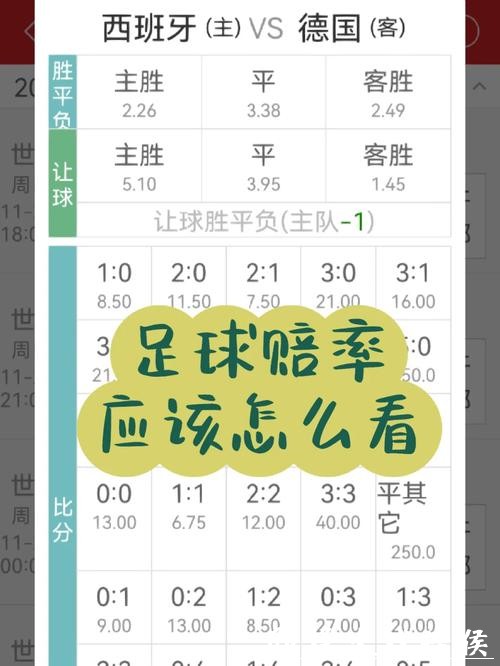 世界杯买球入口：赔率与投注技巧解析